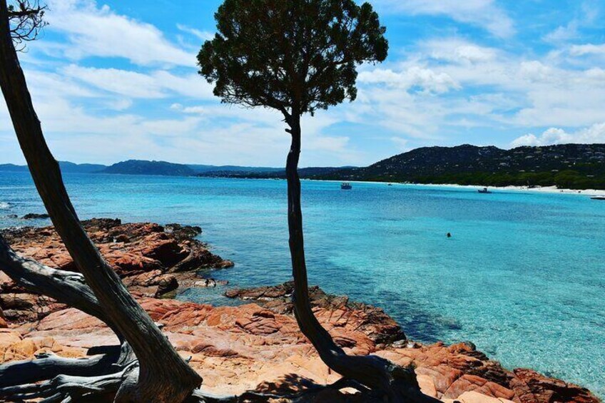 Porto-Vecchio Like a Local Customized and Private Walking Tour