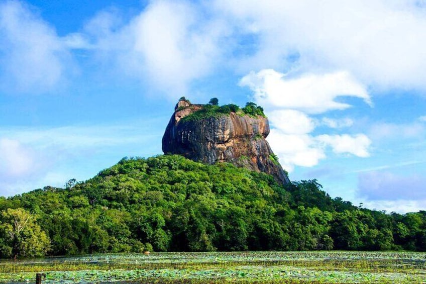 Sigiriya and Cave Temple with Pidurangala Rock - Full Day Private Tour