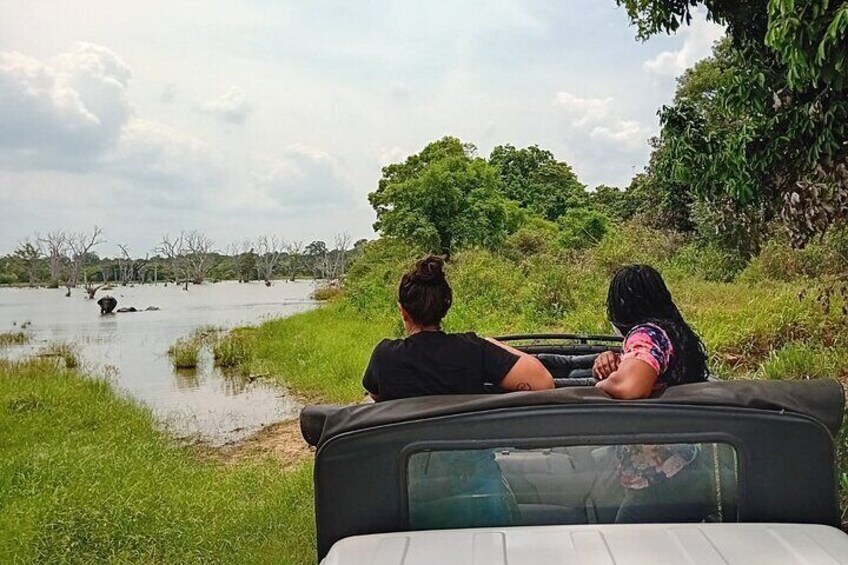 Wilpattu National Park Leopard safari from Colombo/Negambo