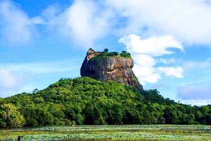 SEAT IN A COACH - Sigiriya, Dambulla & National park safari