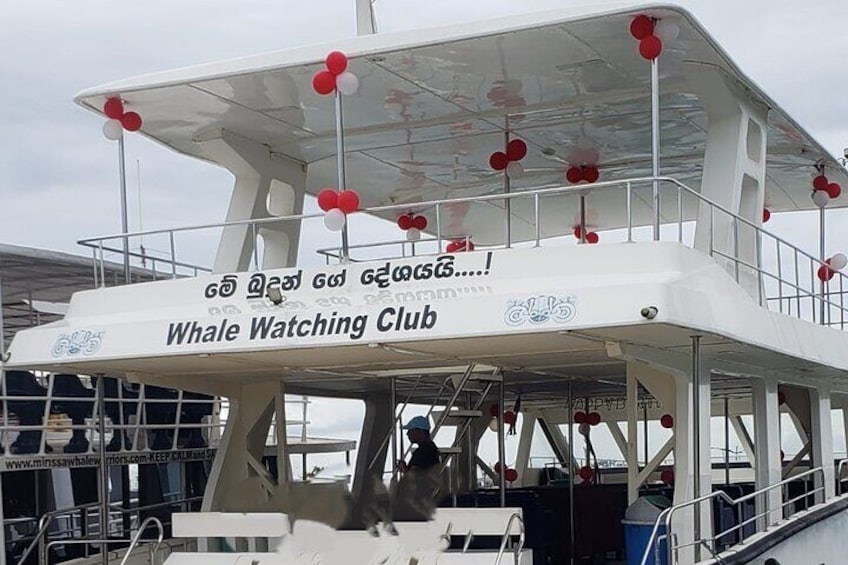 Yacht Tour