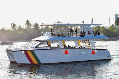 Mirissa Whale watching tour (Yacht) from Colombo with Breakfast