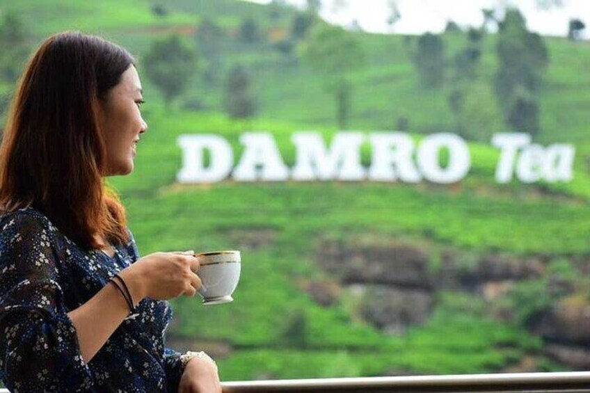 Nuwara Eliya Full Day Tour with Tea factory visit from Kandy/Dambulla/sigiriya