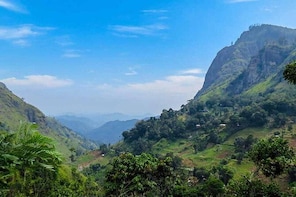 Private Day Tour to Nuwara Eliya from Kandy