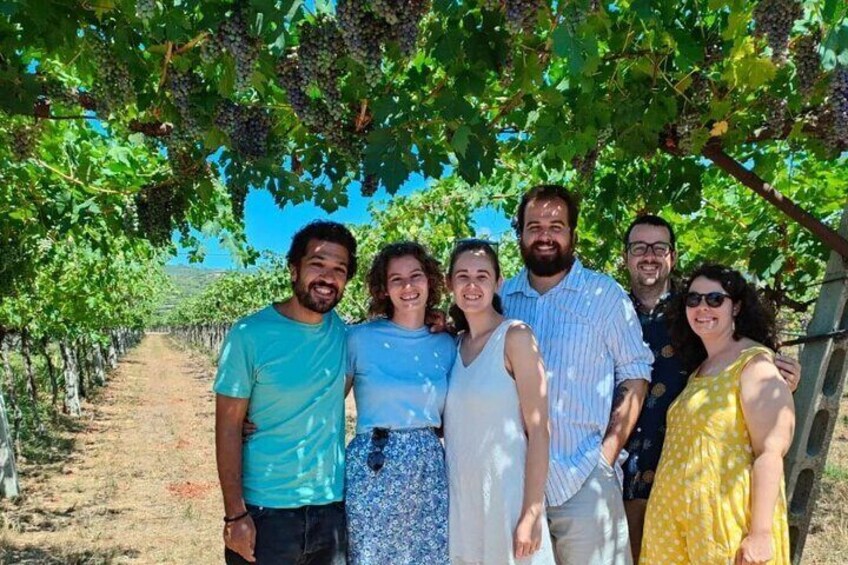 In a Valpolicella vineyard