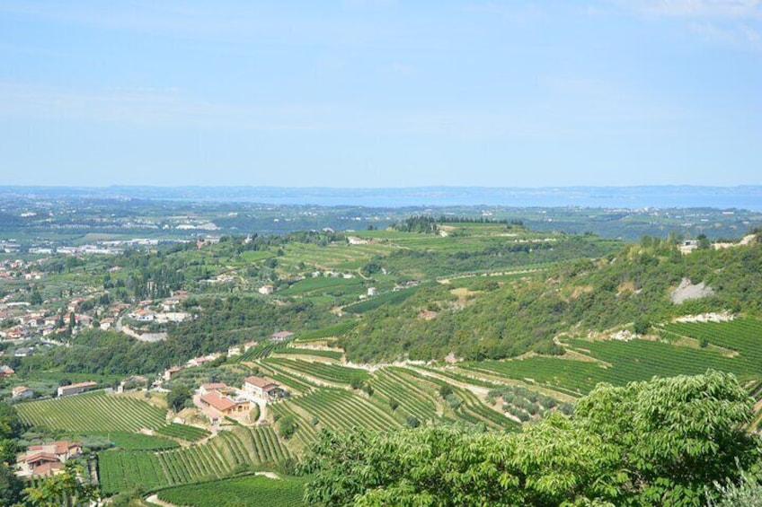 View from San Giorgio di Valpolicella