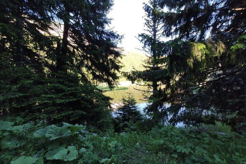 Private Horse Riding in Rhodope Mountains from Plovdiv