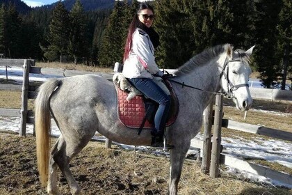 Private Horse Riding in Rhodope Mountains from Plovdiv