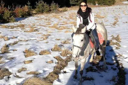Private 2-Day Horse Riding Trip in Rila from Sofia
