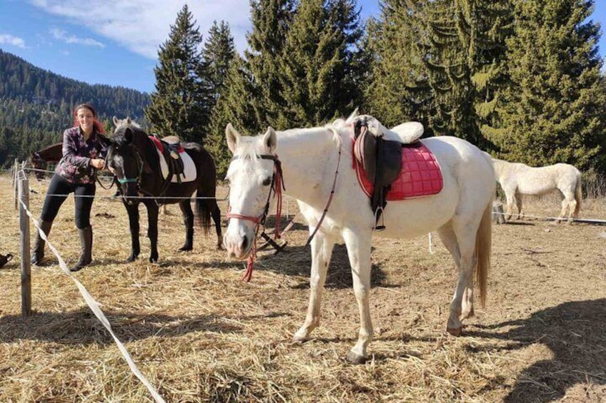 Private 2-Day Horseback Riding in Rhodope Mountains from Plovdiv