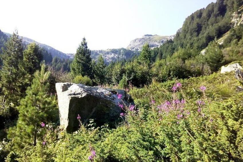 Private Trekking in Rila Mountains and Mt Mousala from Sofia