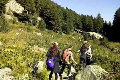 Private Trekking in Rila Mountains and Mt Mousala from Sofia