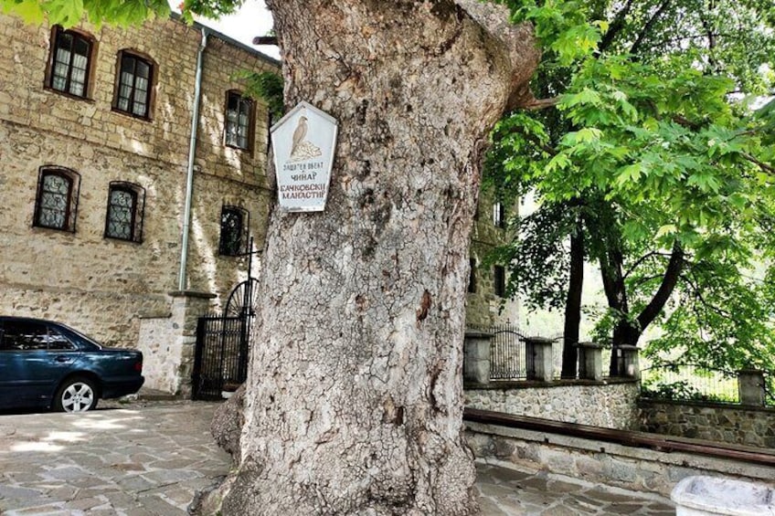 Private 1-day Trip To Wonderful Bridges-Bachkovo-Asen's Fortress from Plovdiv