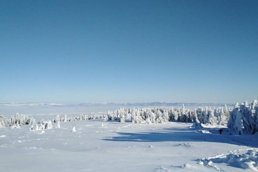 Private Vitosha Mountains Hiking with Black peak & Dragalevtsi Monastery