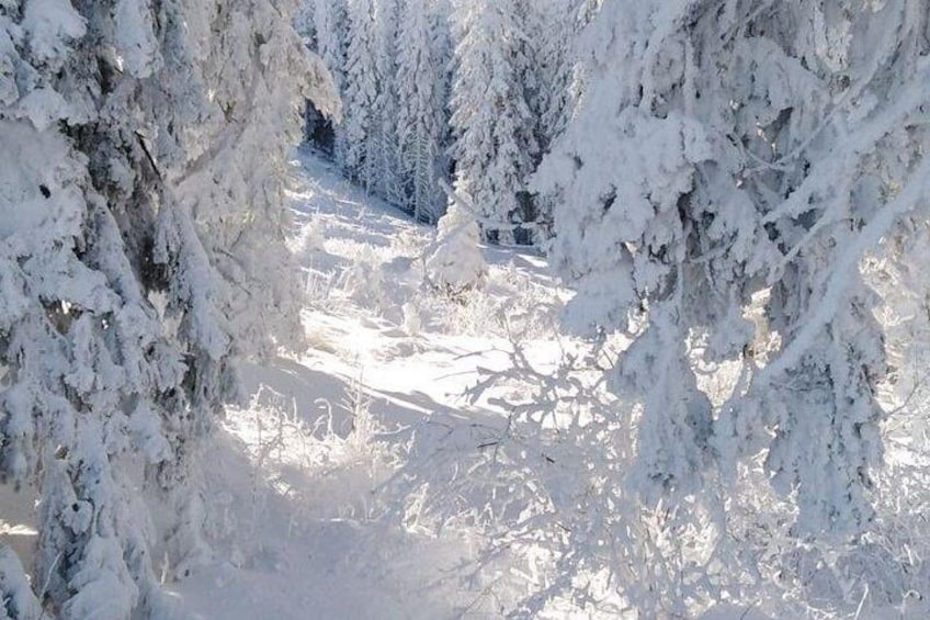 Private Vitosha Mountains Hiking with Black peak & Dragalevtsi Monastery