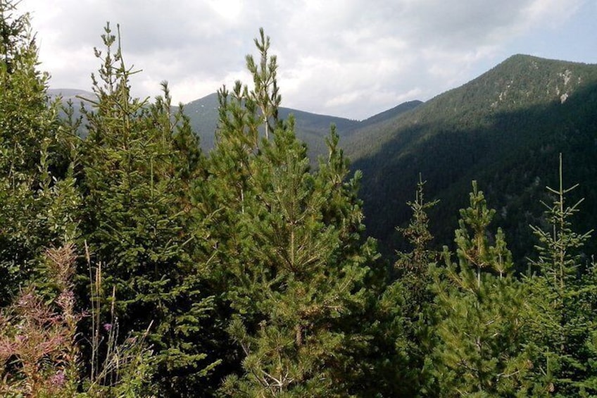 Private Vitosha Mountains Hiking with Black peak & Dragalevtsi Monastery