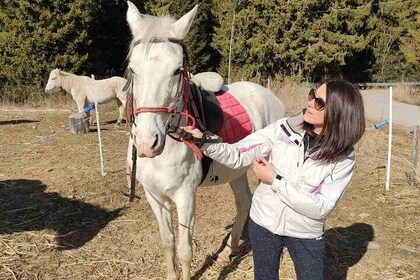 Private Horse Riding in Teteven Balkan from Sofia