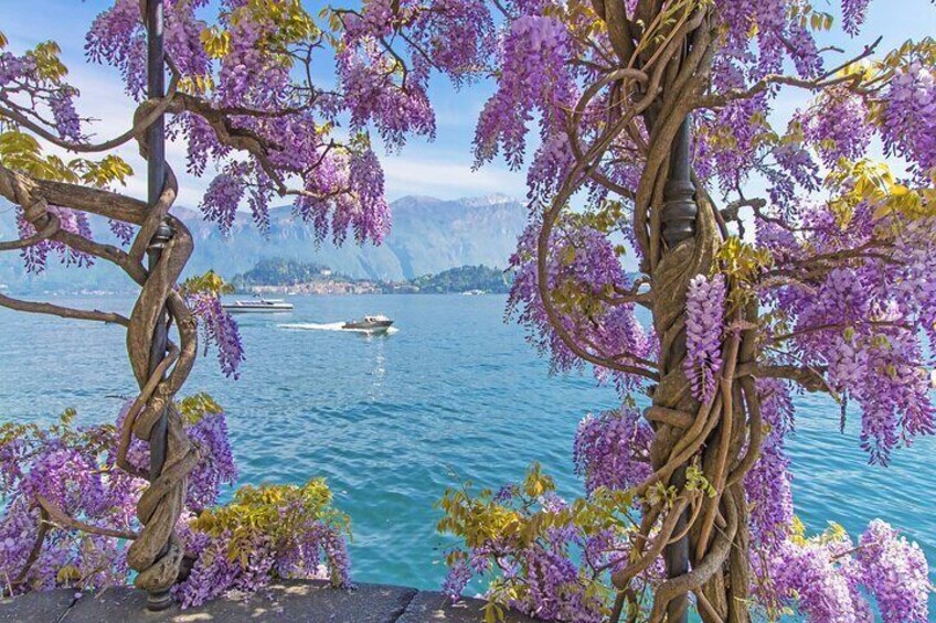 Private Tour: Lake Como From Milan with Private Driver and Boat