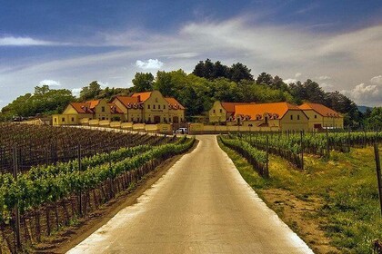 2day private tour of wine region in Czech Republic and Bratislava from Vien...