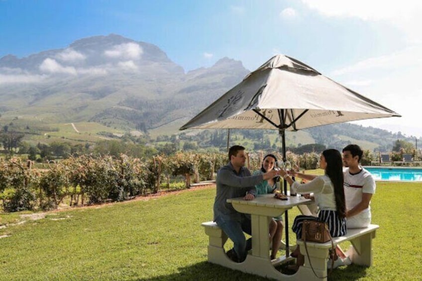 Stellenbosch, Franschhoek and Paarl: Full Day Wine Tour