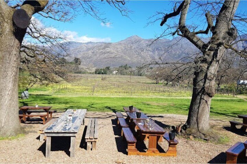 Stellenbosch, Franschhoek and Paarl: Full Day Wine Tour