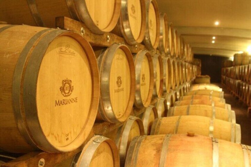 Stellenbosch, Franschhoek and Paarl: Full Day Wine Tour