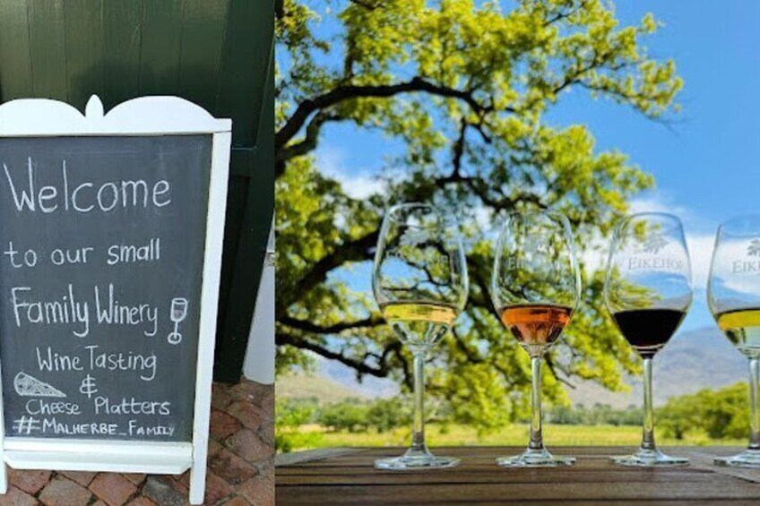 Stellenbosch, Franschhoek and Paarl: Full Day Wine Tour