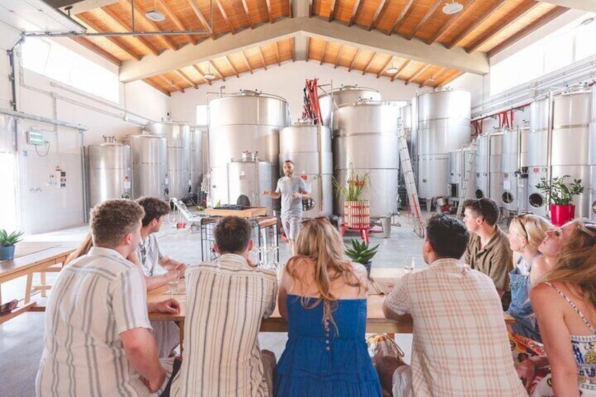 Authentic experience in organic winery