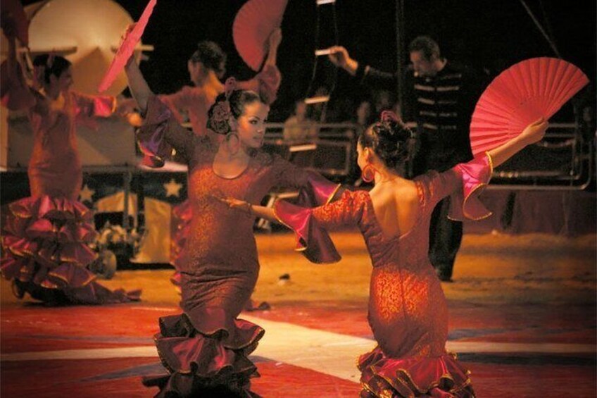 Flamenco Walking Tour in Seville with Show and Wine or Tapas
