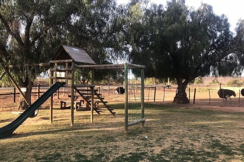 Skip the Line: Highgate Ostrich Farm Tour Ticket