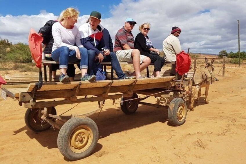 Skip the Line: Highgate Ostrich Farm Tour Ticket