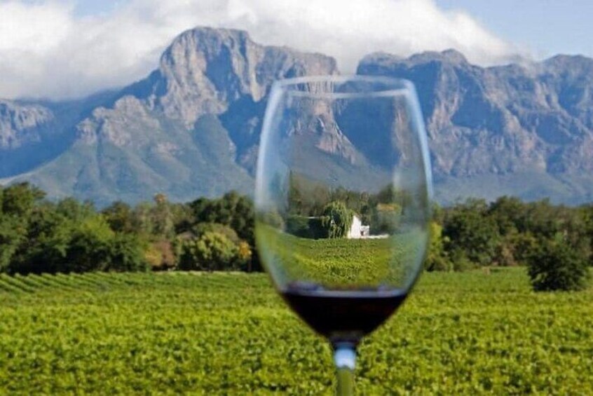 Cape town Winelands Private Tour