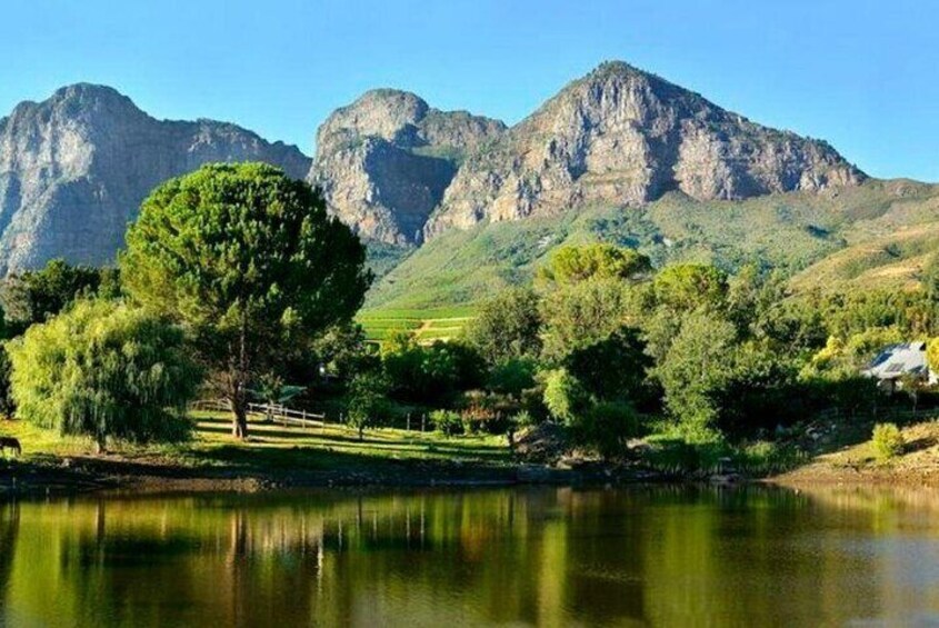 Cape town Winelands Private Tour