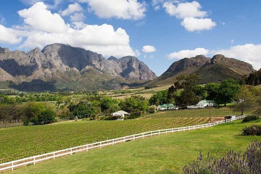 Cape town Winelands Private Tour