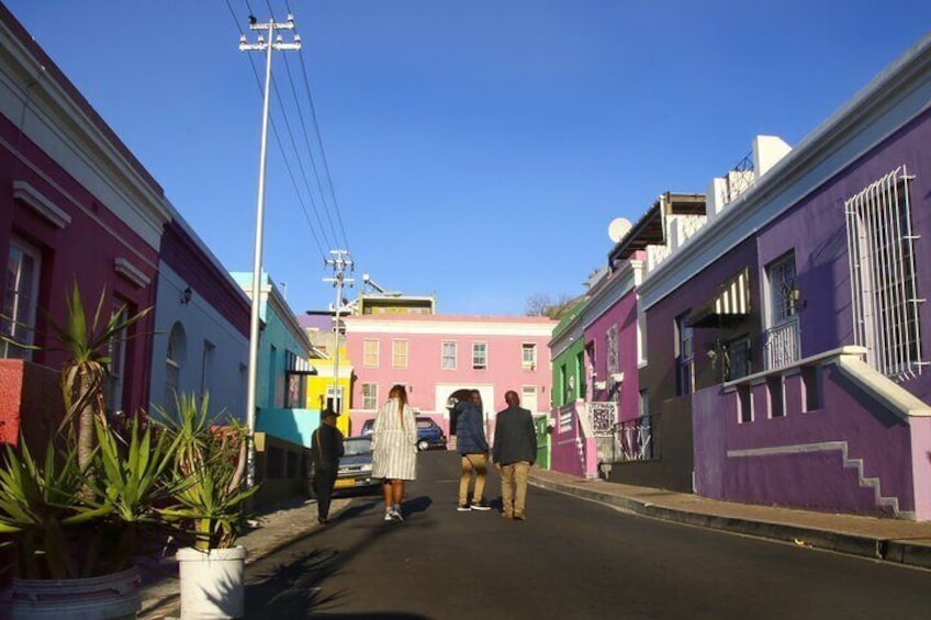 Cape of Good Hope and Penguins Full-Day Tour From Cape Town