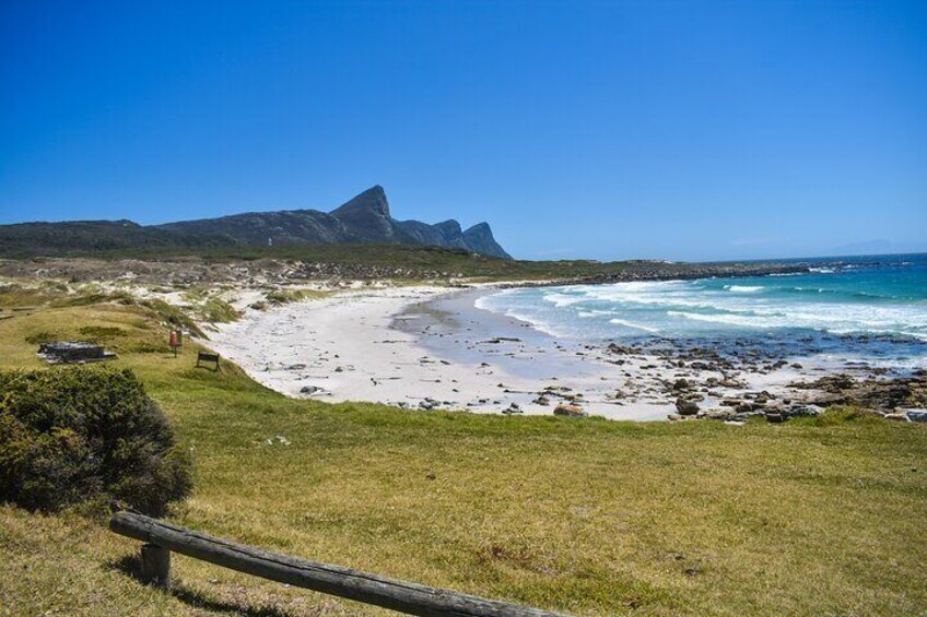 Private Sightseeing Trip to the Cape of Good Hope and Boulders Penguin Colony