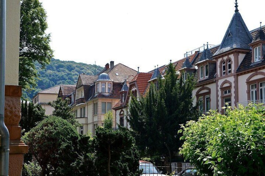 Private Walking Tour of Old Town Heidelberg including Castle Visit