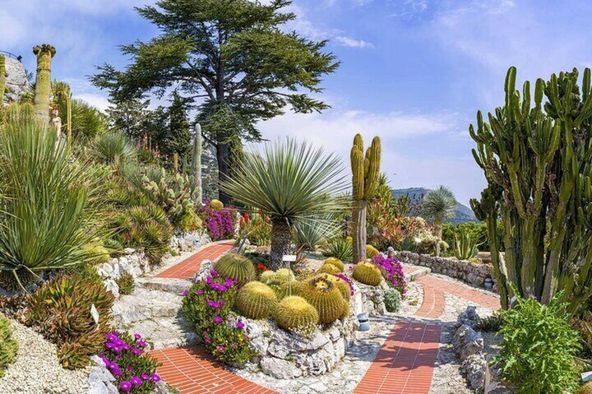 Private tour: Monaco, Monte-Carlo, Cannes, St Paul de Vence & Eze