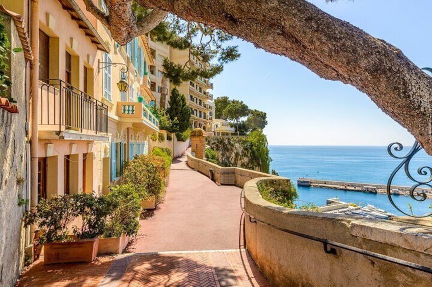 Private tour: Monaco, Monte-Carlo, Cannes, St Paul de Vence & Eze