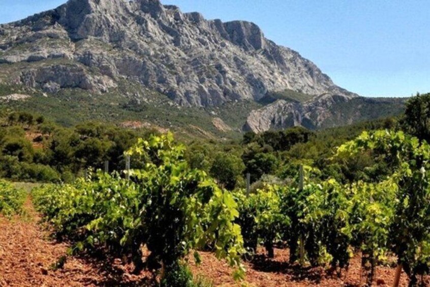 Private eight hour tour to Aix en Provence and wine tasting