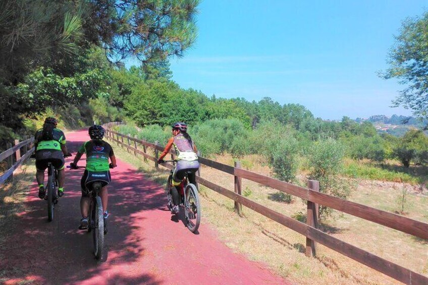 Cycling Ecopista do Dão one way