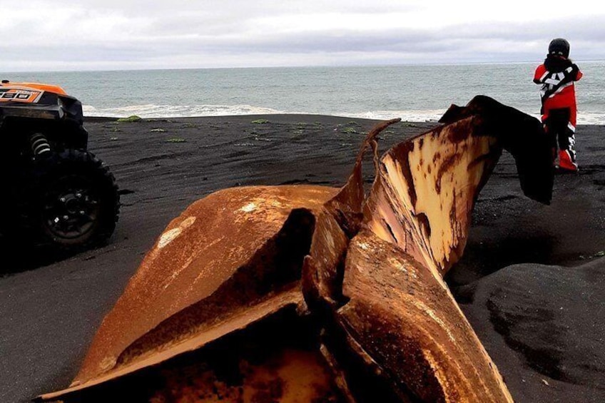 2 hour black sand beach tour 5