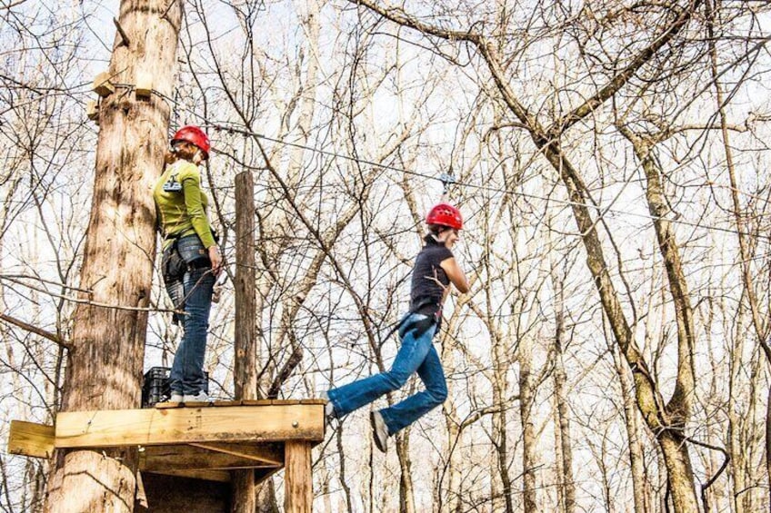 Wetland Zip Tour