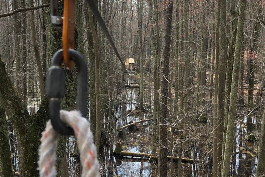 Wetland Zip Tour