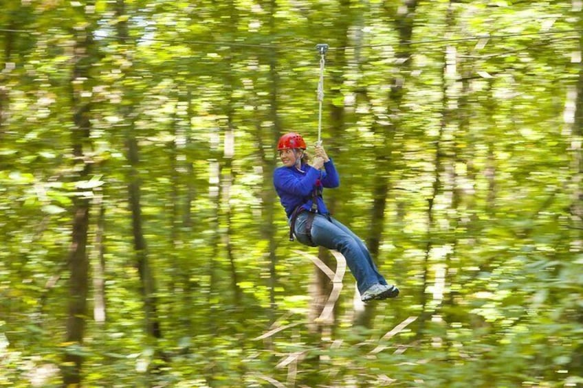 Wetland Zip Tour