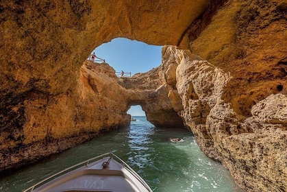 Superb Private caves tour with highly skilled skipper