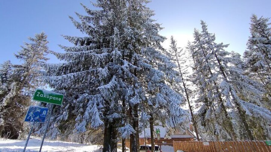 Private Zakopane Tour from Krakow with optional activities