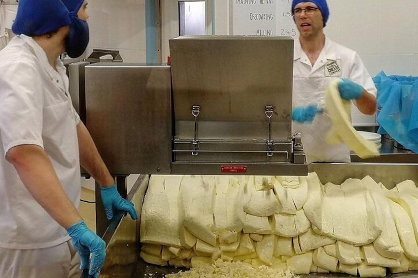 Cheddar cheese being made in Cheddar