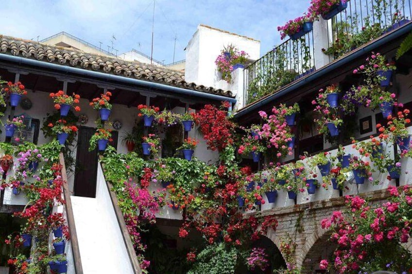 The flowers at the Jewish quarter