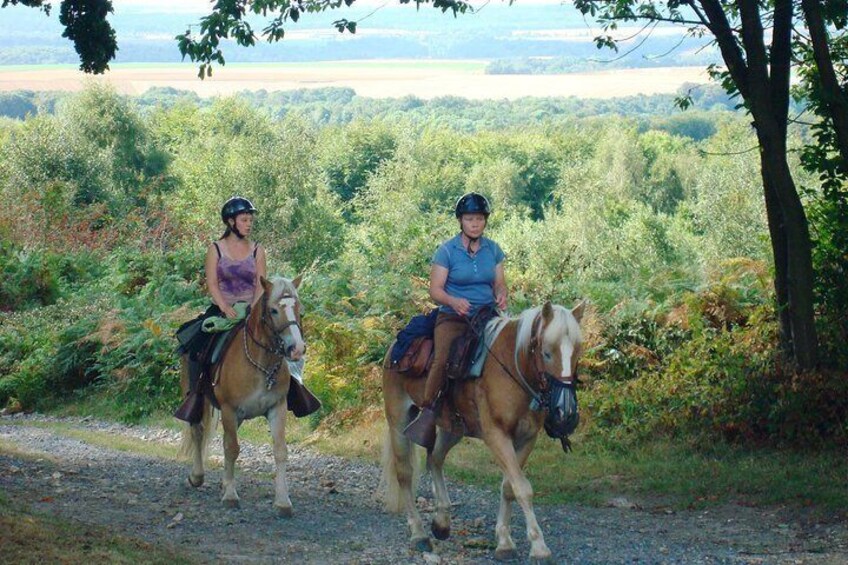 Horse riding in the French countryside